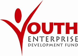 Youth Enterprise Development Fund
